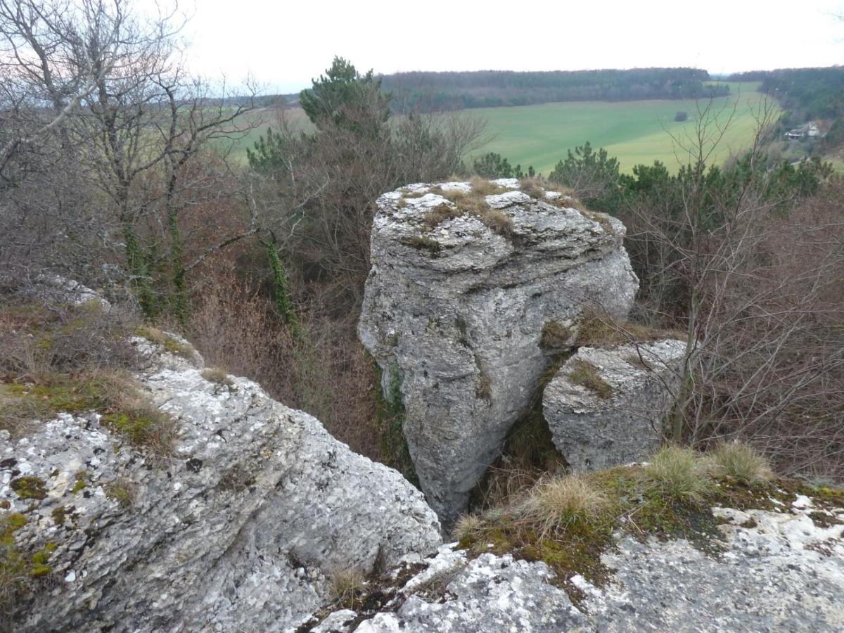 Le Flav - Charmant Appartement A 10 Mn De Dijon Flavignerot Dış mekan fotoğraf