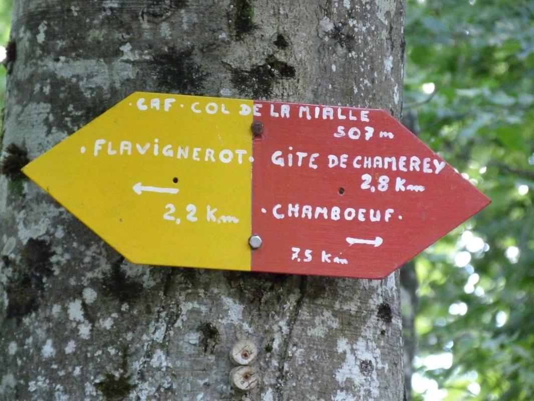 Le Flav - Charmant Appartement A 10 Mn De Dijon Flavignerot Dış mekan fotoğraf