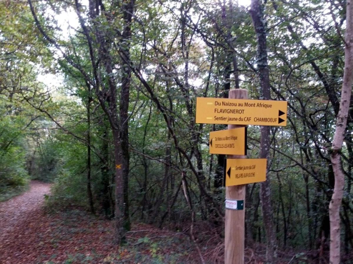 Le Flav - Charmant Appartement A 10 Mn De Dijon Flavignerot Dış mekan fotoğraf